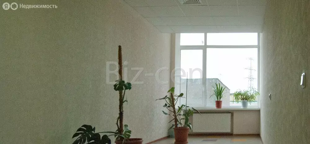 Офис (53.6 м) - Фото 2