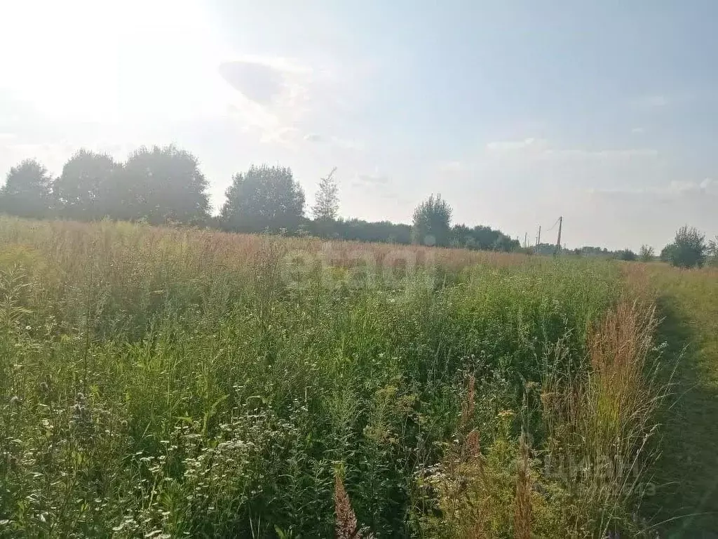 Участок в Калужская область, Жиздринский муниципальный округ, Огорь ... - Фото 1