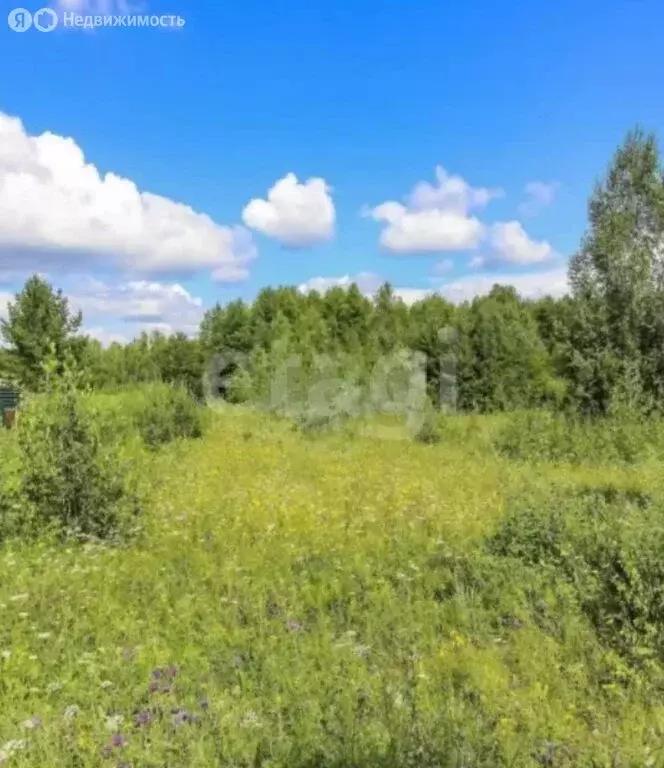 Участок в Тюнево, Звёздная улица (40 м) - Фото 1