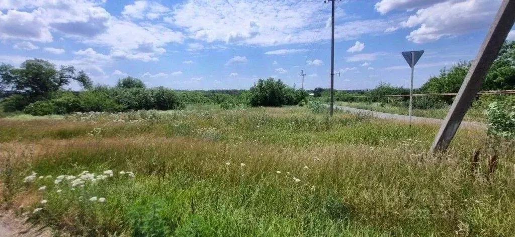 Участок в Краснодарский край, Ленинградский муниципальный округ, Коржи ... - Фото 1