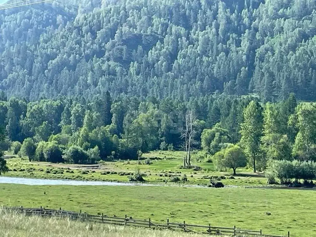 Участок в Алтай, с. Онгудай  (15.0 сот.) - Фото 1