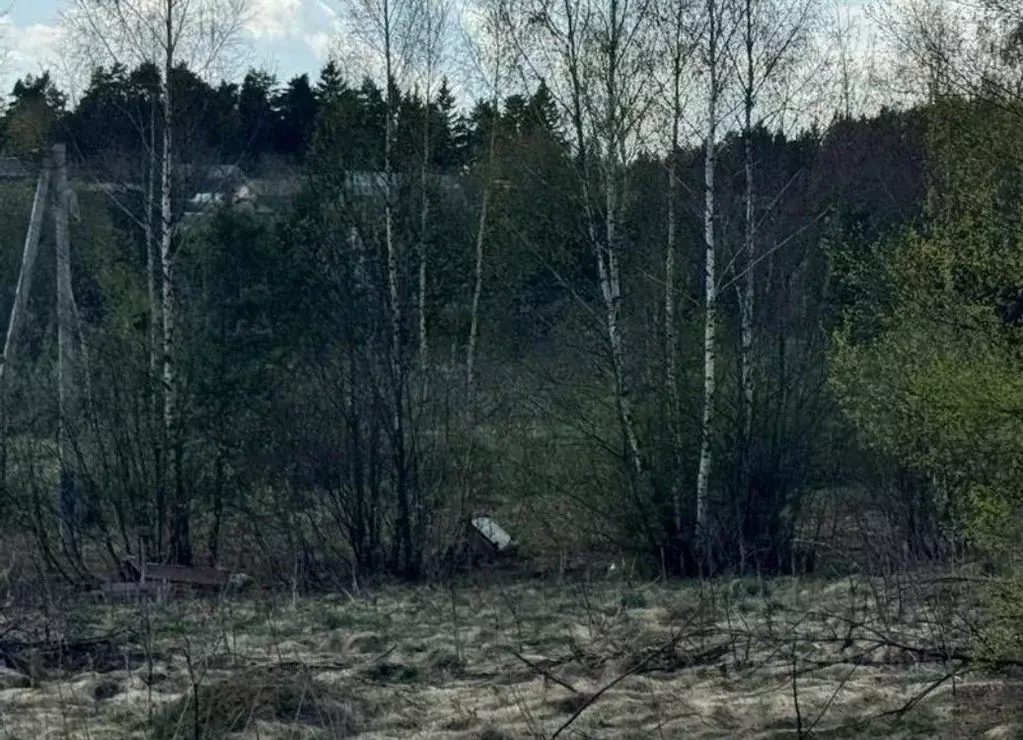 Участок в Московская область, Солнечногорск городской округ, д. ... - Фото 0