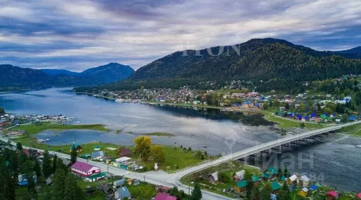 Участок в Алтай, Турочакский район, с. Артыбаш ул. Глухариная (10.0 ... - Фото 1