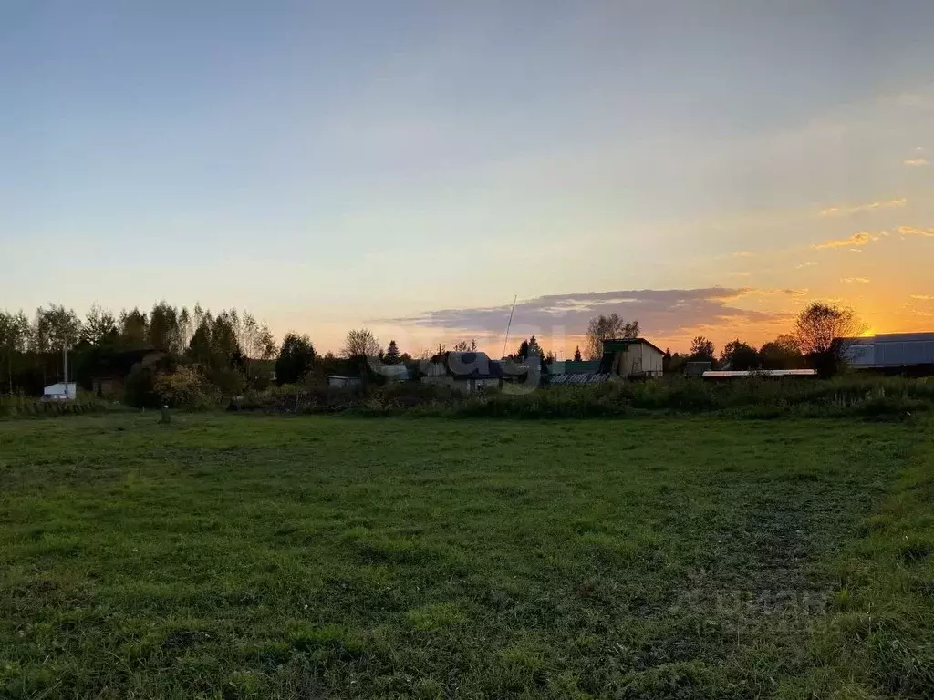 Участок в Костромская область, Костромской район, Самсоновское с/пос, ... - Фото 1