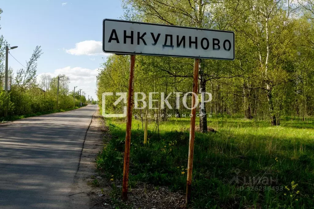 Участок в Ивановская область, Ивановский район, Новоталицкое с/пос, д. ... - Фото 2