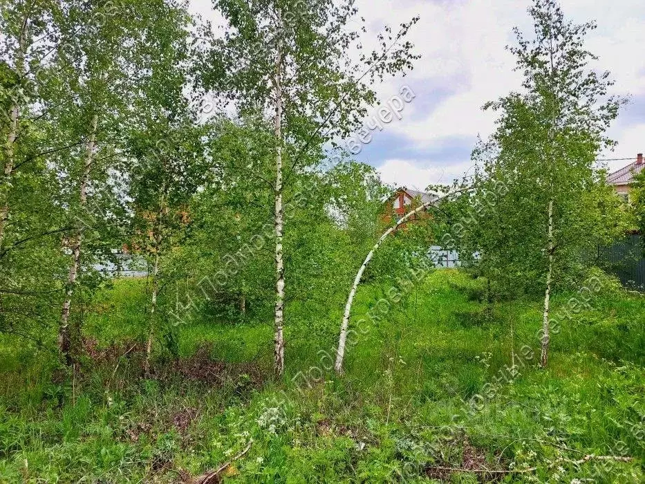 Участок в Московская область, Солнечногорск городской округ, д. ... - Фото 0