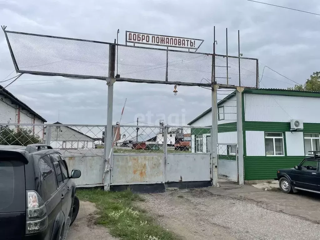Склад в Омская область, Черлак рп ул. Береговая, 11 (75046 м) - Фото 1