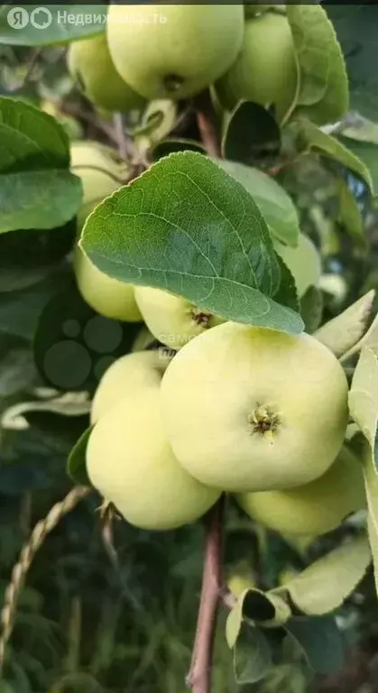 Участок в Каменск-Уральский, улица 100-й километр (4 м) - Фото 2