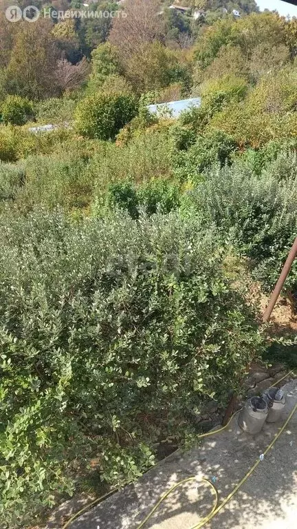 Участок в Краснодарский край, городской округ Сочи, село Верхнее Буу, ... - Фото 1