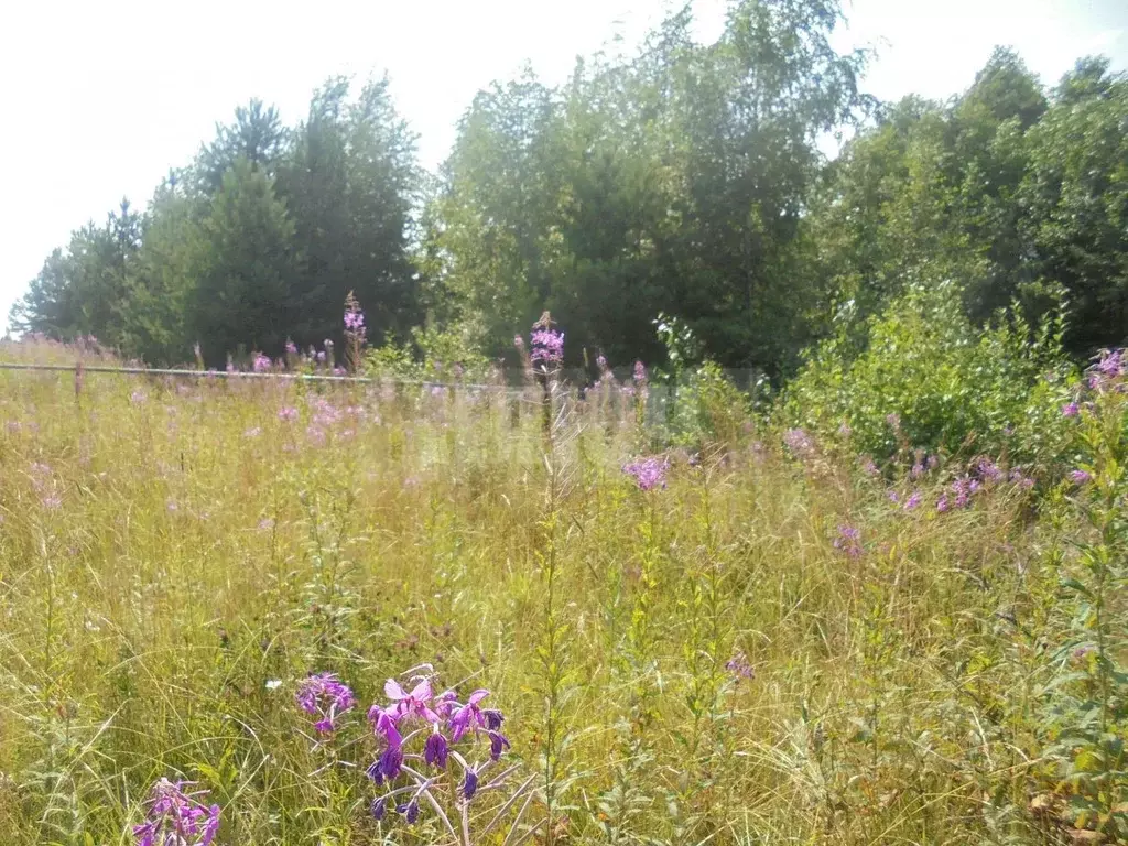 Купить Участок Юрково Сокольский Район Нижегородская Область