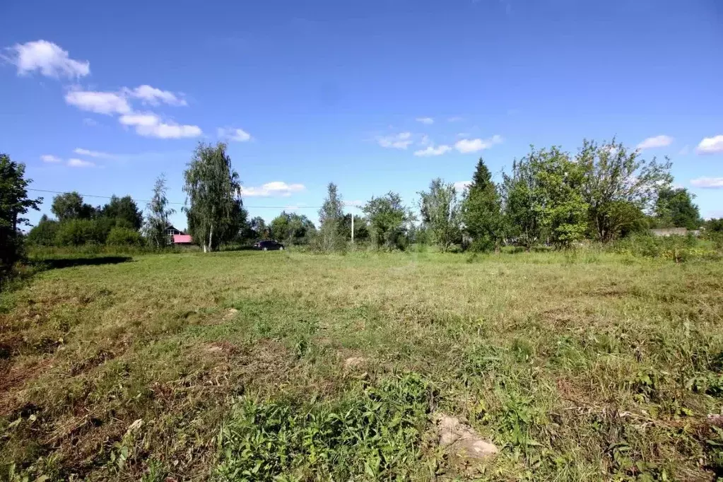 Участок в Вологодская область, Шекснинский муниципальный округ, Заря-2 ... - Фото 1