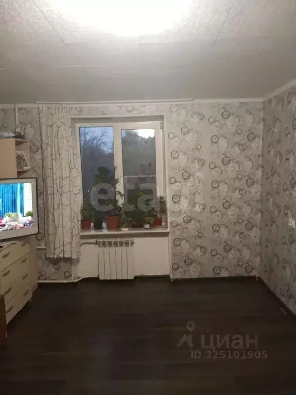 1-к кв. Санкт-Петербург пос. Металлострой, Центральная ул., 13 (31.5 ... - Фото 1