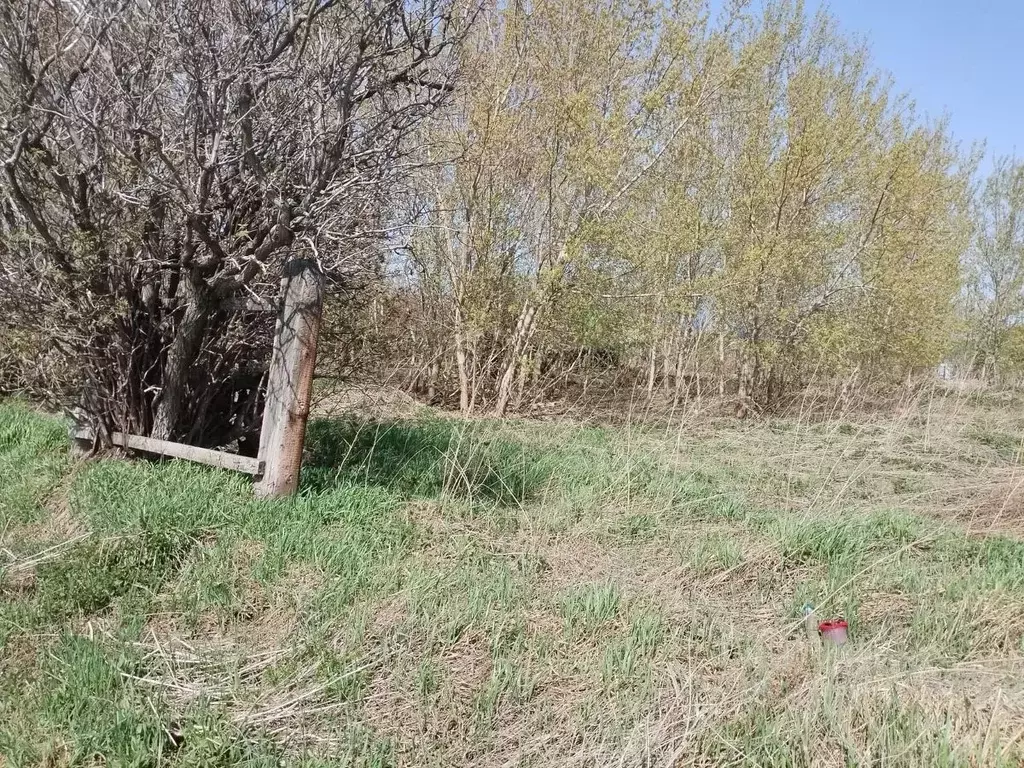 Участок в Новосибирская область, Мошково рп ул. Калинина (6.5 сот.) - Фото 1