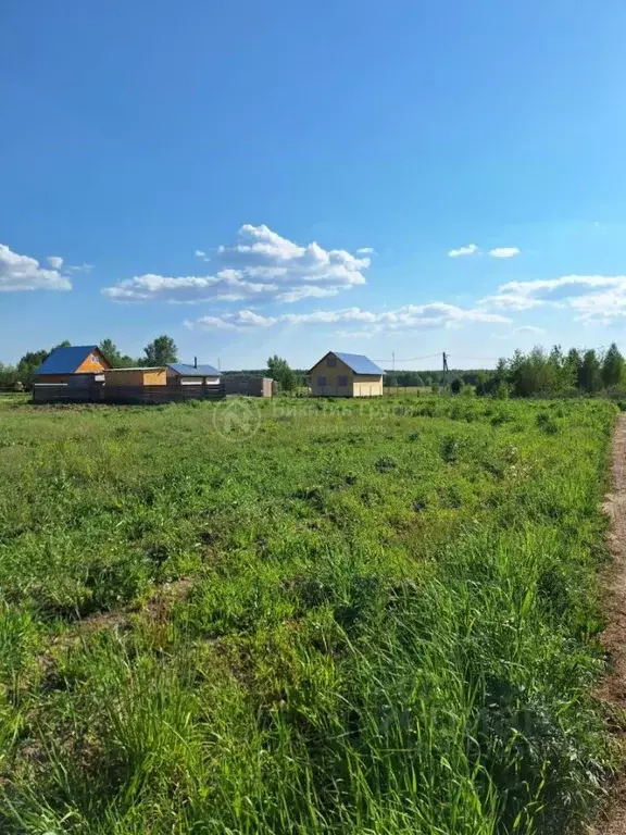 Участок в Нижегородская область, Городецкий муниципальный округ, с. ... - Фото 1