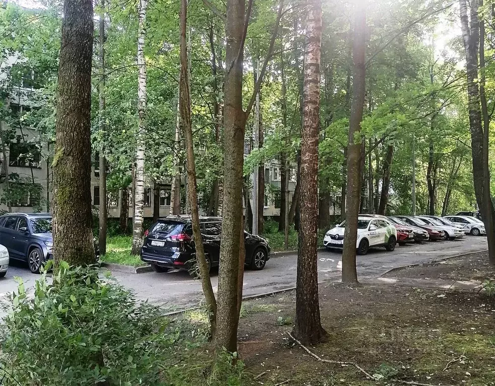 Студия Санкт-Петербург Гражданский просп., 106К3 (11.0 м) - Фото 0