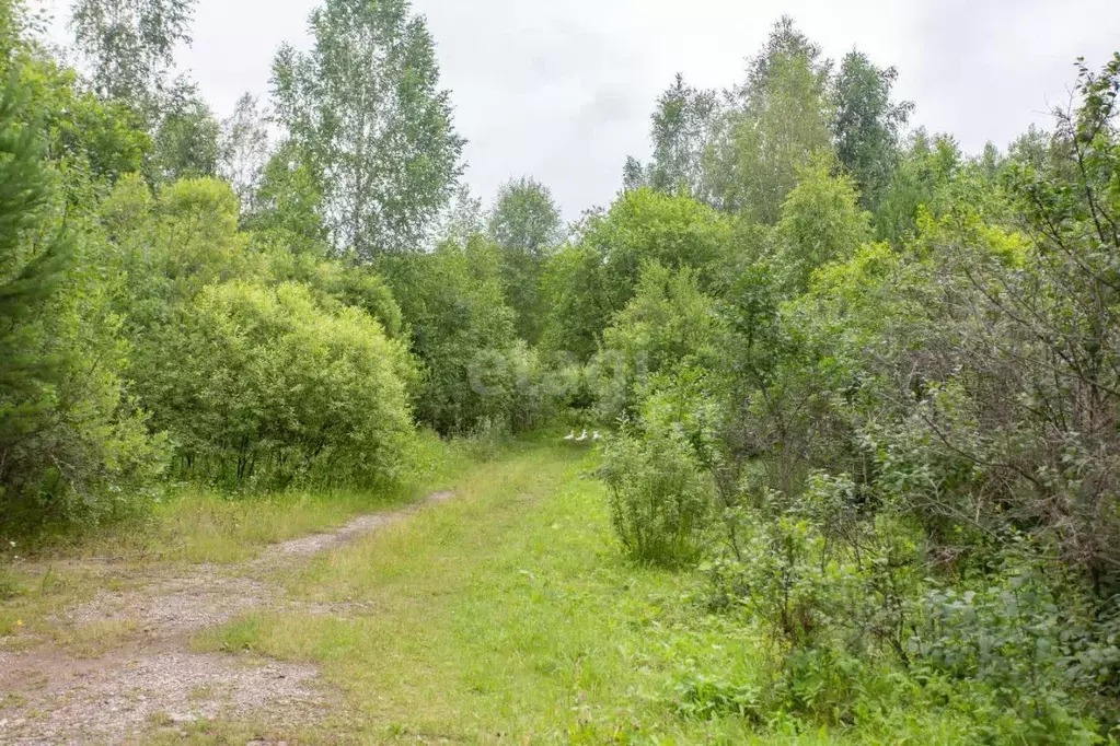 Участок в Тюменская область, Тобольск Усадьба мкр,  (9.4 сот.) - Фото 1