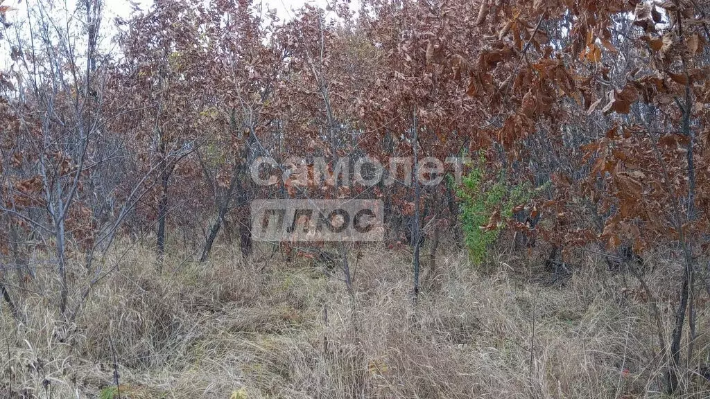 Участок в Смидовичский район, садоводческое некоммерческое ... - Фото 1