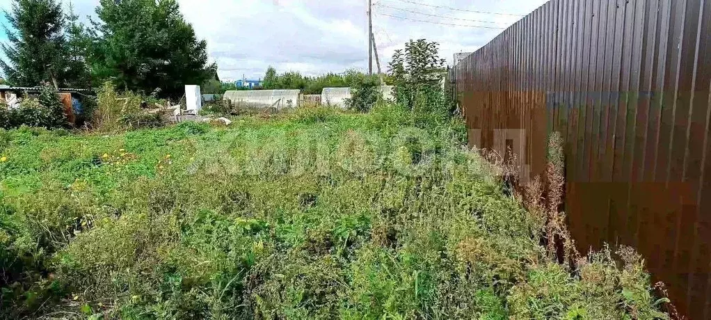 Участок в Новосибирская область, Колывань рп ул. Западная (7.0 сот.) - Фото 0