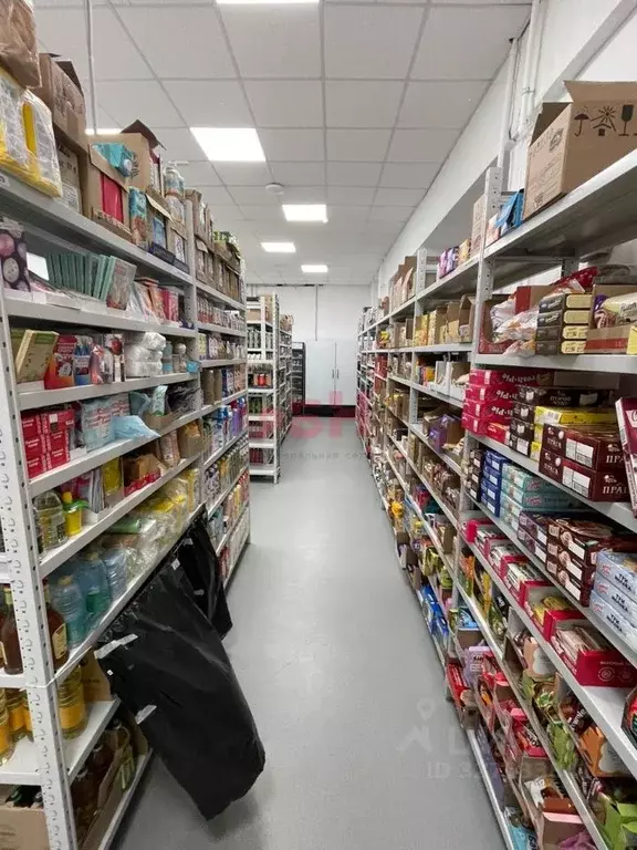 Помещение свободного назначения в Воронежская область, Воронеж ул. 25 ... - Фото 1