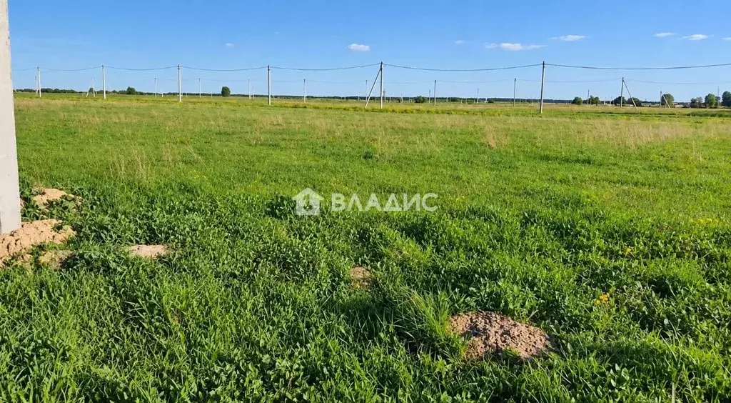 Участок в Ленинградская область, Ломоносовский район, Русско-Высоцкое ... - Фото 1