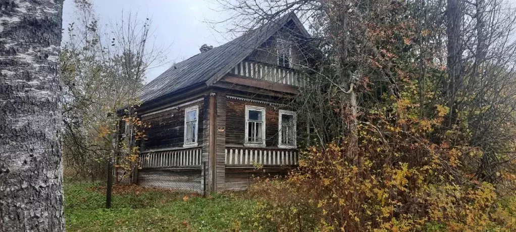Участок в Новгородская область, Крестцы рп ул. Большевиков, 26 (14.0 ... - Фото 2