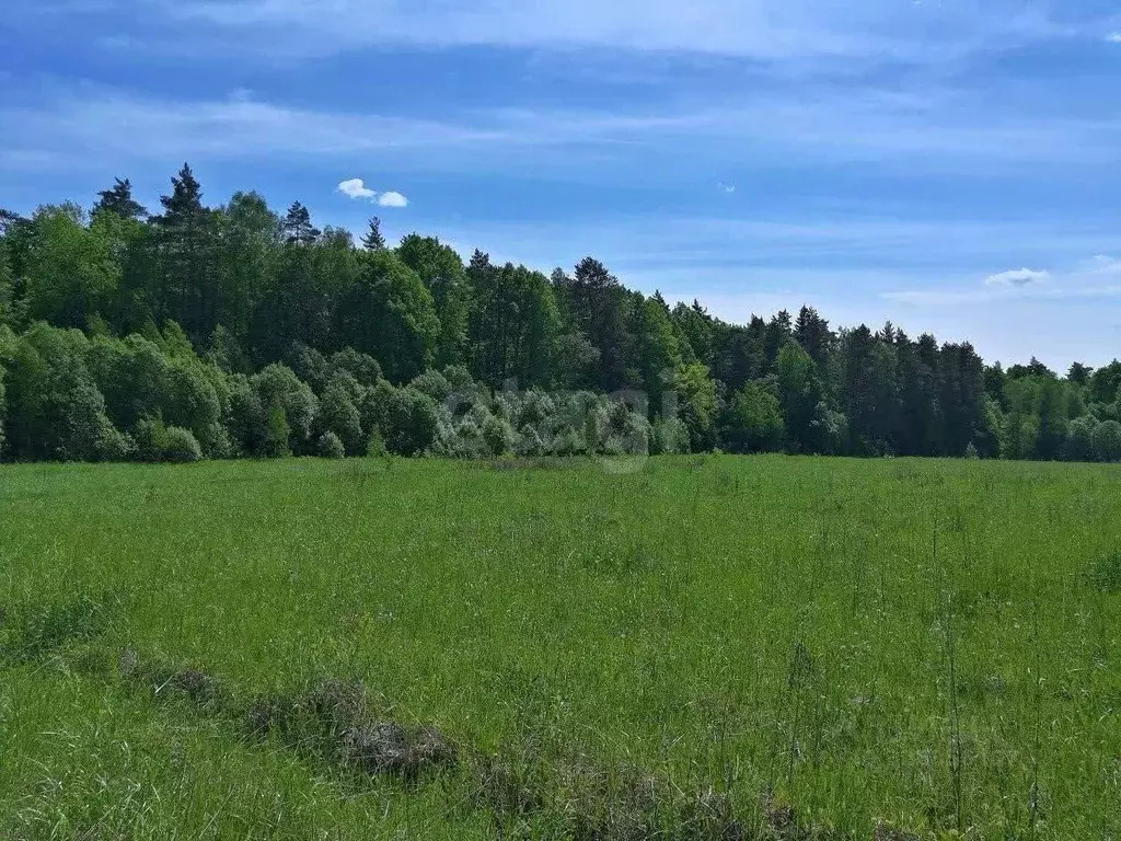 Участок в Московская область, Серпухов городской округ, д. ... - Фото 1