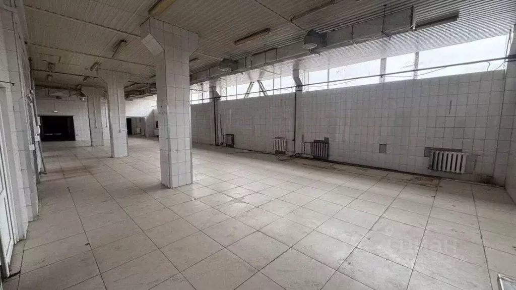 Помещение свободного назначения в Московская область, Видное Северная ... - Фото 1