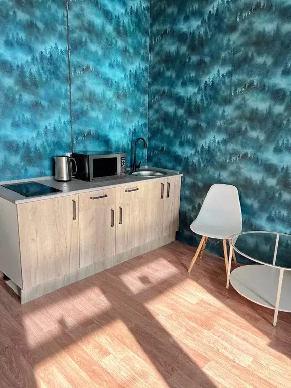 Студия Иркутская область, Иркутск ул. Юрия Левитанского, 4 (26.0 м) - Фото 1