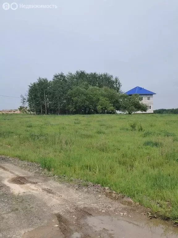 Участок в село Матвеевка, Лазурная улица, 11 (11 м) - Фото 1