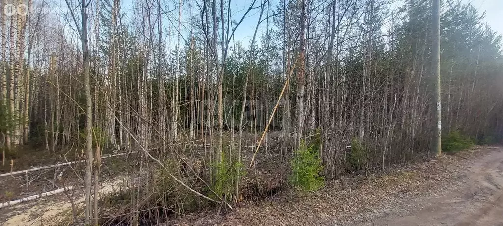 Участок в Республика Коми, муниципальный район Корткеросский, ... - Фото 2