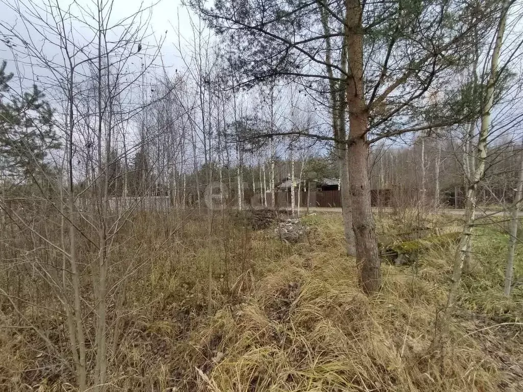 Участок в Ленинградская область, Кировское городское поселение, ... - Фото 1