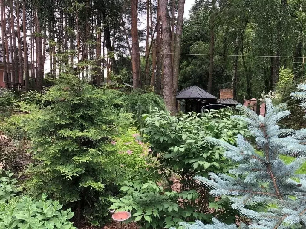 Дом в Московская область, Балашиха Салтыковка мкр, Носовихинское ш. ... - Фото 2