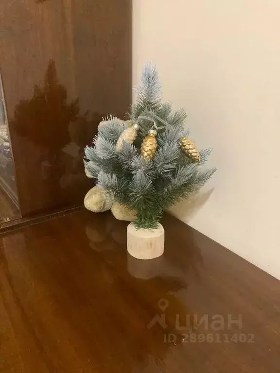 2-к кв. Ставропольский край, Кисловодск Березовская ул., 34 (40.0 м) - Фото 2