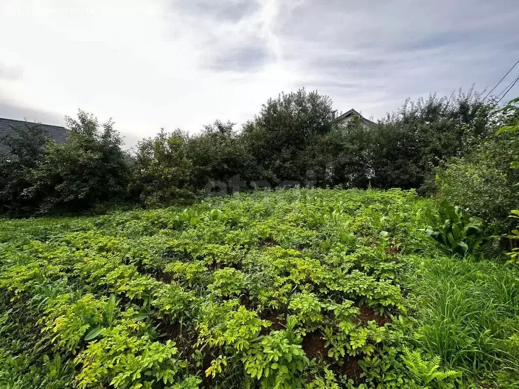 Участок в Москва, ТАО, Краснопахорский район, деревня Шаганино (4.27 ... - Фото 2