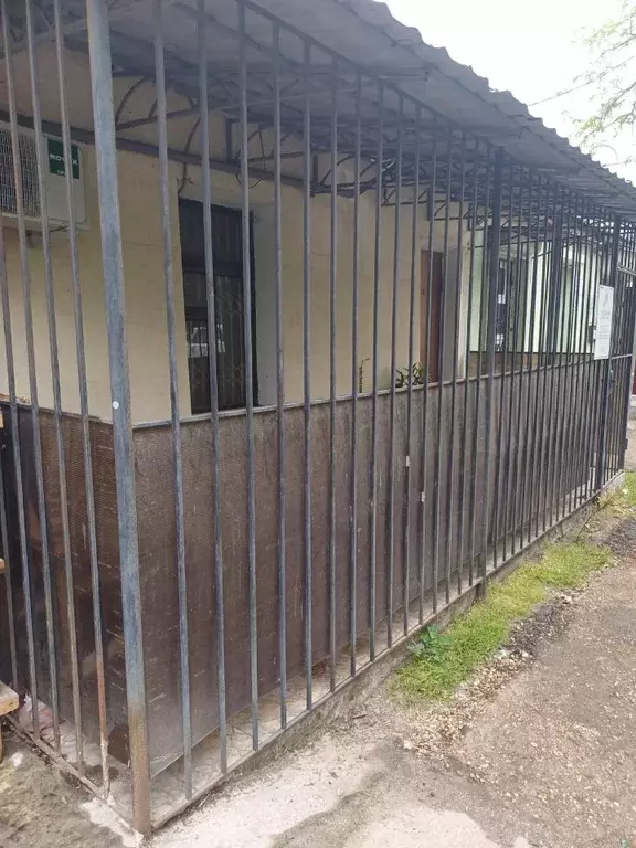 Офис в Крым, Симферополь ул. Толстого, 29 (17 м) - Фото 1