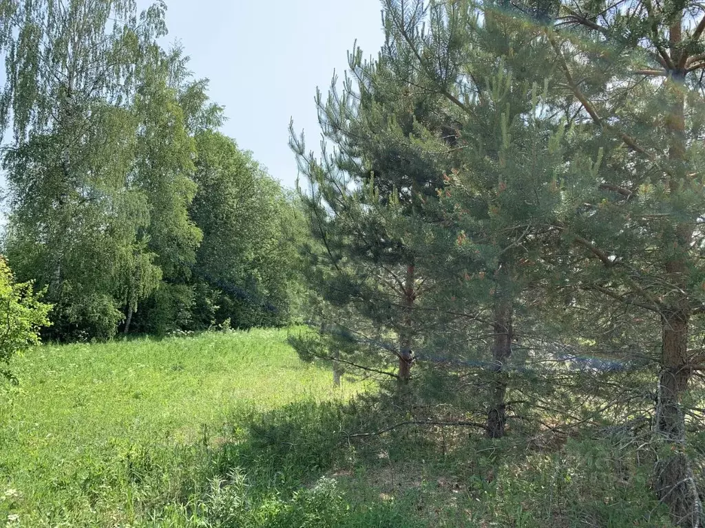 Участок в Тверская область, Осташковский муниципальный округ, д. ... - Фото 2