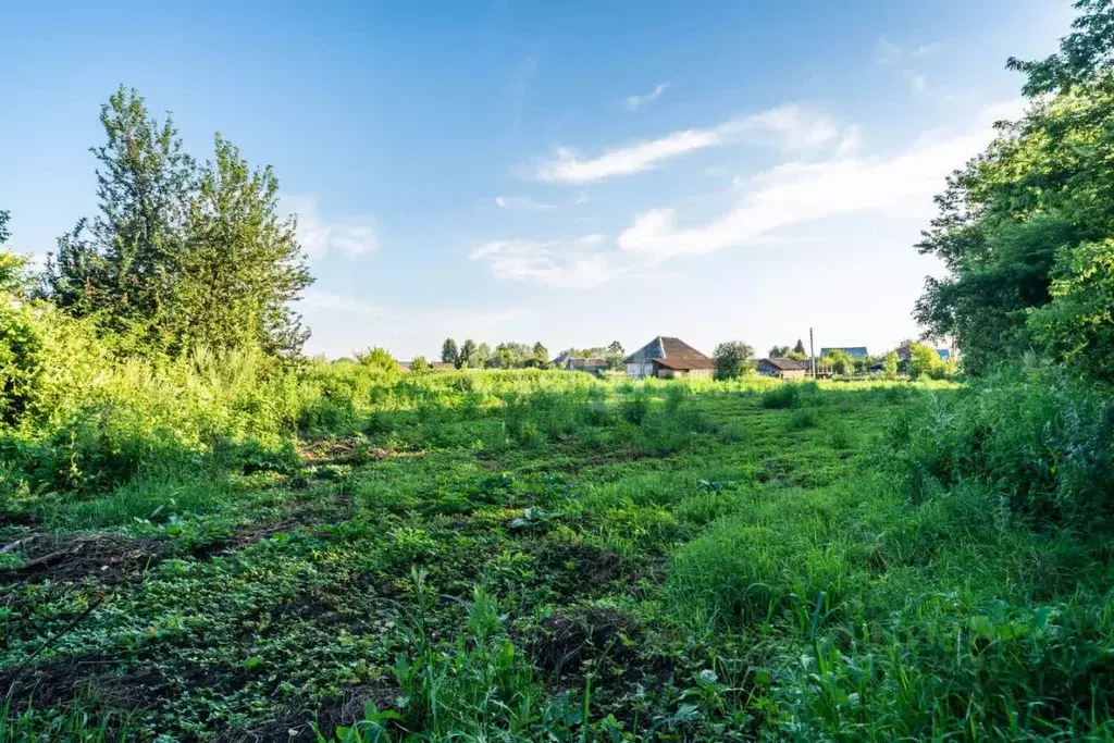 Участок в Алтайский край, Бийский район, с. Малоугренево ул. Братьев ... - Фото 1