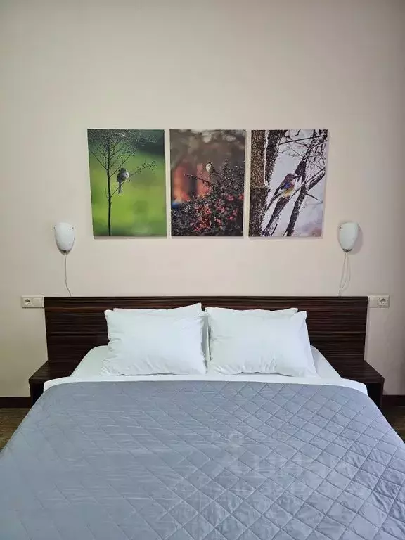 Комната Новосибирская область, Новосибирск Ельцовская ул., 8 - Фото 2