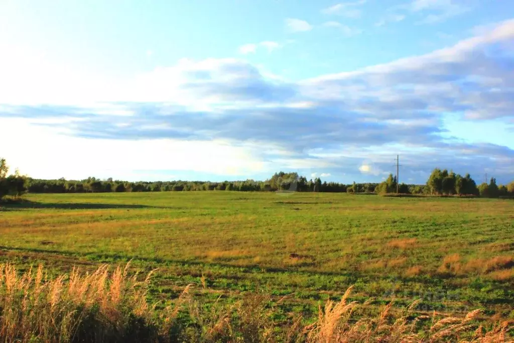 Участок в Московская область, Можайский муниципальный округ, ... - Фото 1