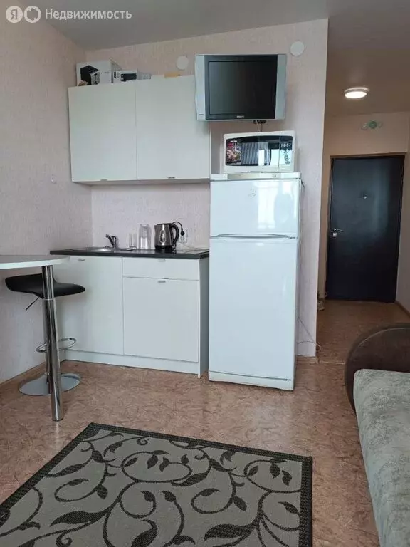 Квартира-студия: Нижний Новгород, Бурнаковская улица, 97 (20 м) - Фото 1