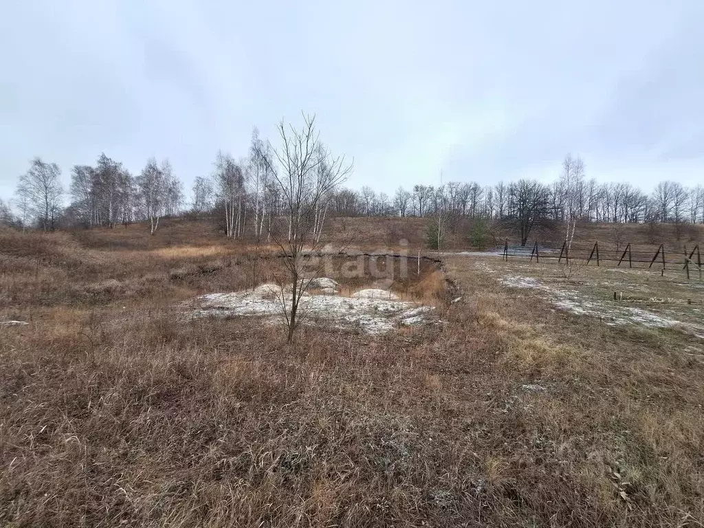 Участок в Белгородская область, Белгородский район, пос. Майский ул. ... - Фото 0