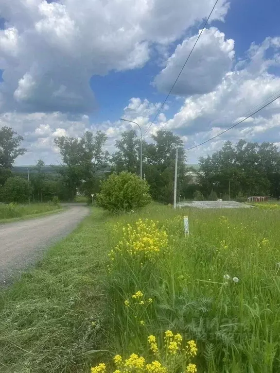 Участок в Московская область, Пущино Серпухов городской округ, ул. ... - Фото 2