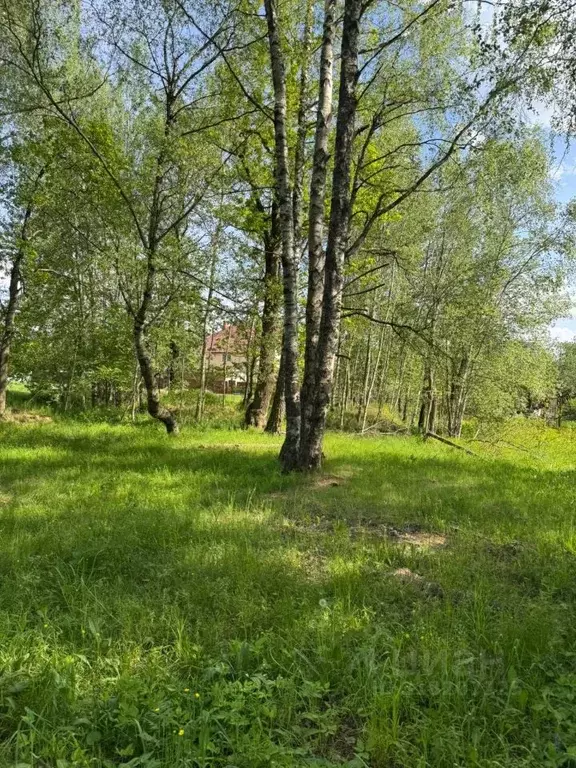 Участок в Московская область, Солнечногорск городской округ, д. Новое  ... - Фото 0
