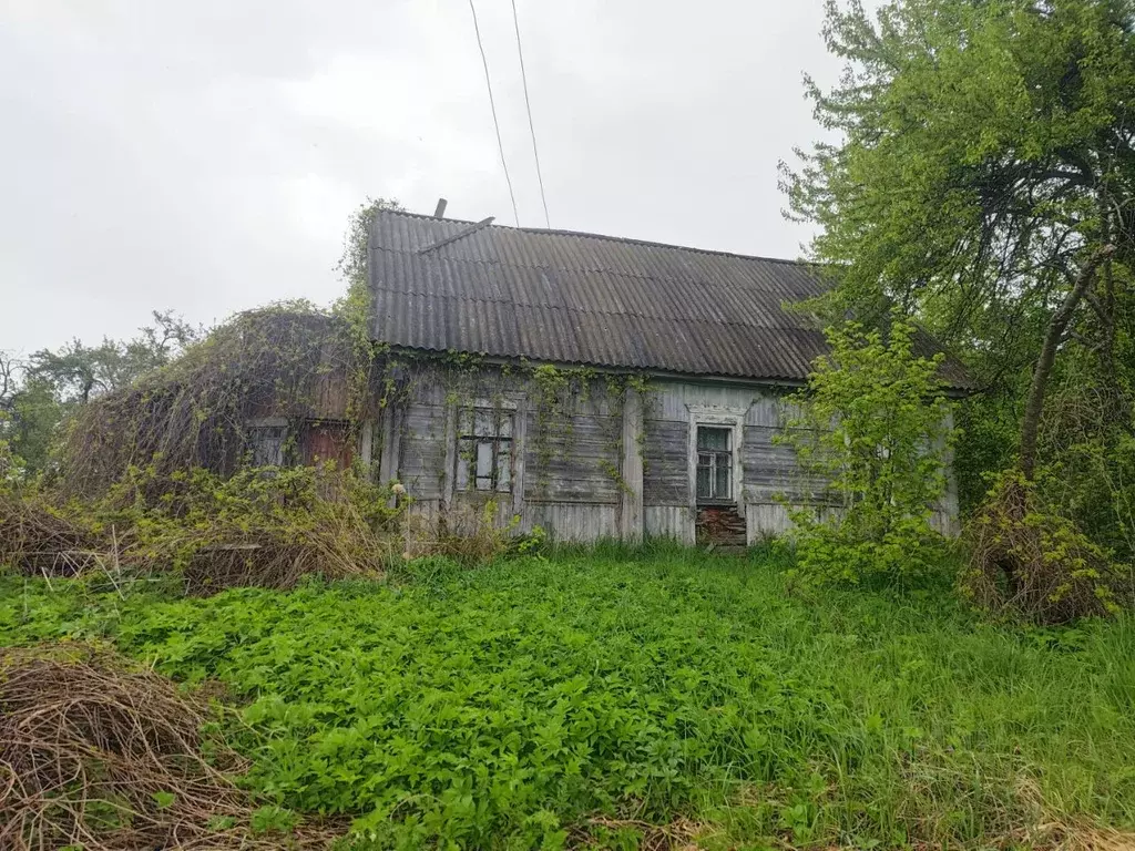 Участок в Брянская область, Жуковский муниципальный округ, с. Овстуг  ... - Фото 0