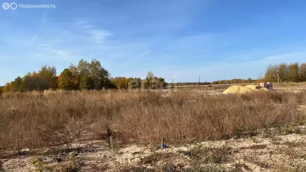 Участок в Медведевский район, Руэмское сельское поселение, деревня ... - Фото 0