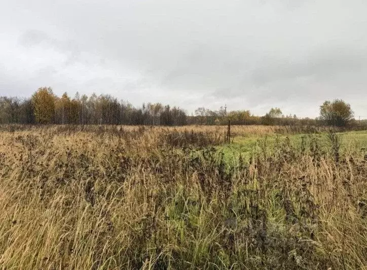 Участок в Московская область, Серпухов городской округ, д. Подмоклово ... - Фото 1