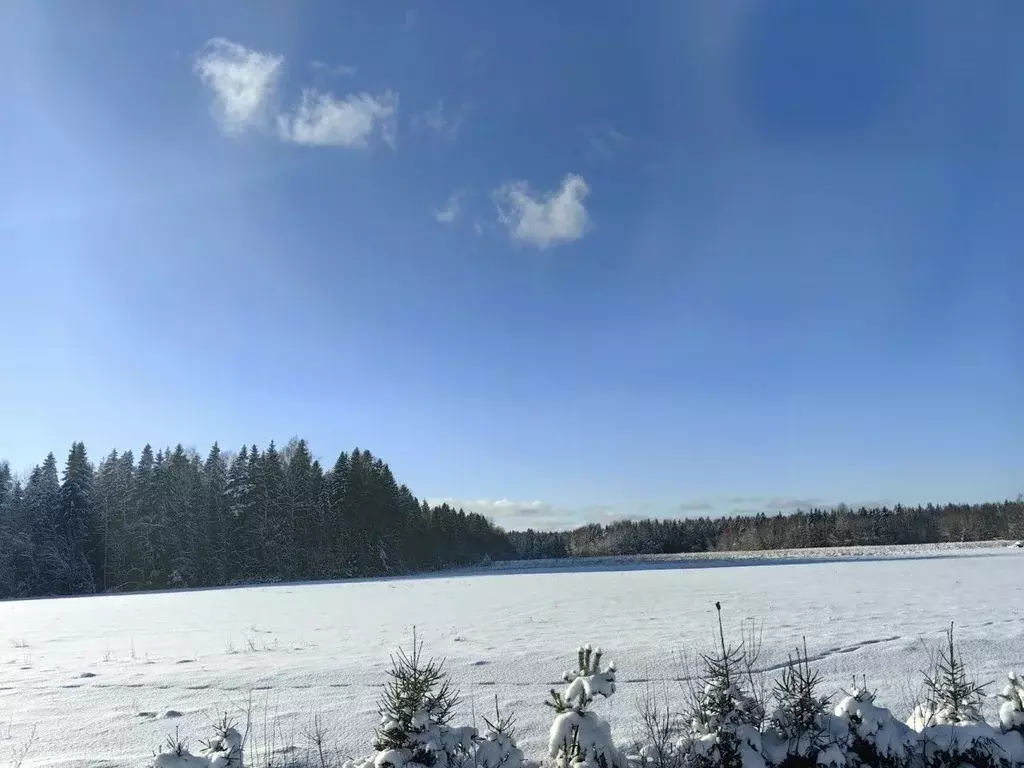 Участок в Псковская область, Куньинский район, Каськовская волость, д. ... - Фото 0
