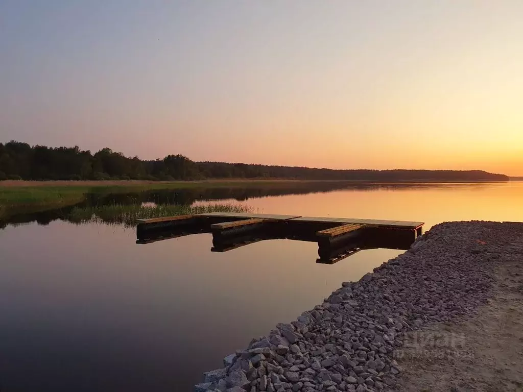 Участок в Ленинградская область, Приозерский район, Петровское с/пос  ... - Фото 2