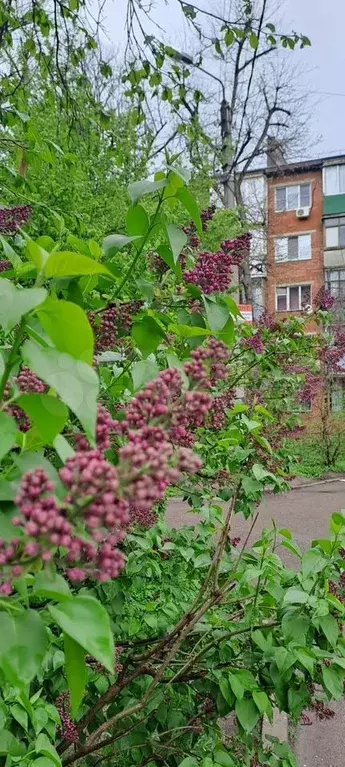 1-к. квартира, 31,2 м, 3/5 эт. - Фото 1