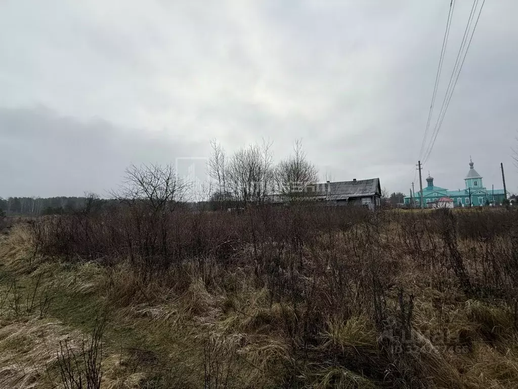 Участок в Владимирская область, Гусь-Хрустальный муниципальный округ, ... - Фото 2